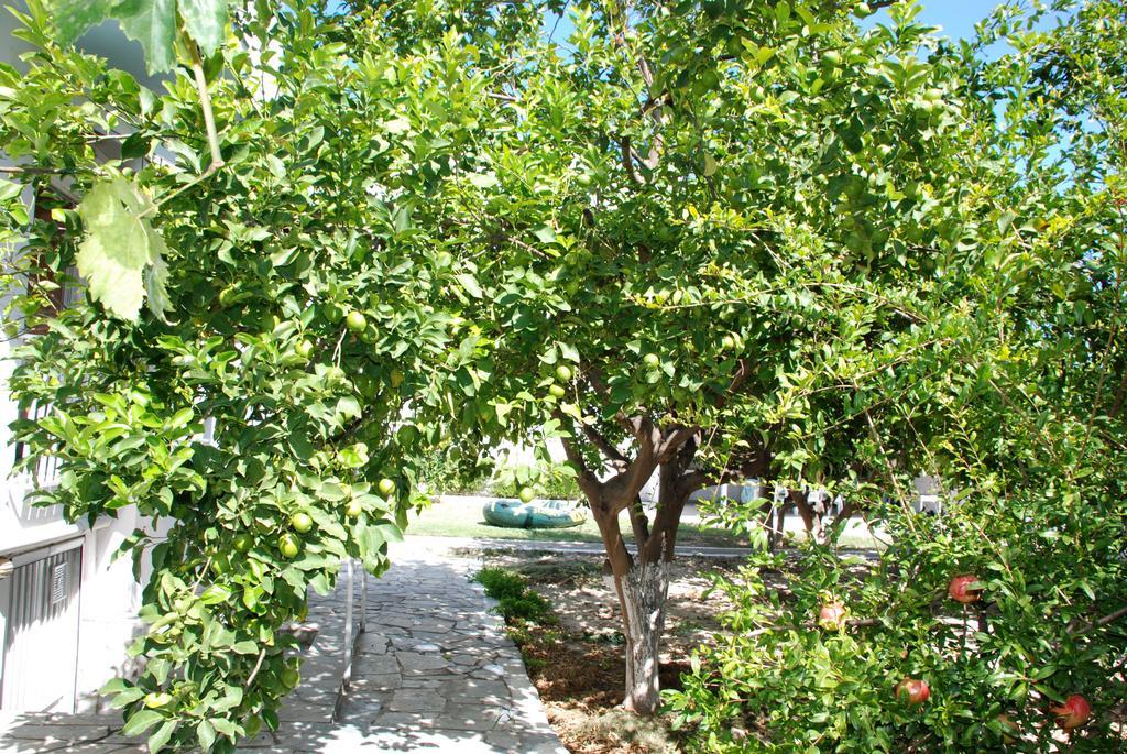 Apartmán Kostas Family House Káto Ássos Exteriér fotografie